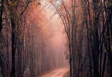 365BET：利物浦前锋萨拉赫即将与球队续约两年，继续留守安菲尔德.