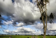 [健身动起来]王冰箐带来普拉提训练-背部塑形.