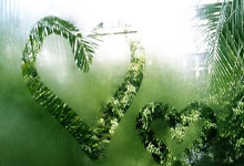 [健身动起来]王冰箐带来普拉提训练-背部塑形.